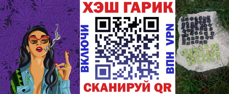 площадка как зайти  Терек  ГАШ Premium 