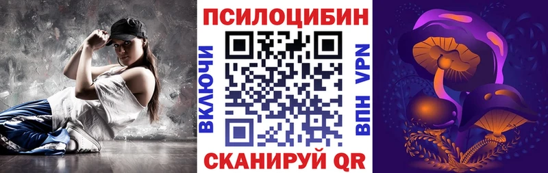 Псилоцибиновые грибы Psilocybe где найти наркотики mega Терек