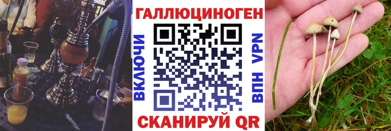 Галлюциногенные грибы мицелий Терек